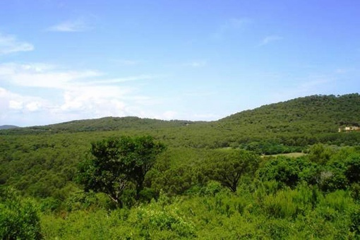 Vue sur le paysage luxuriant